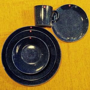 iittala   teema ドッテドブルー