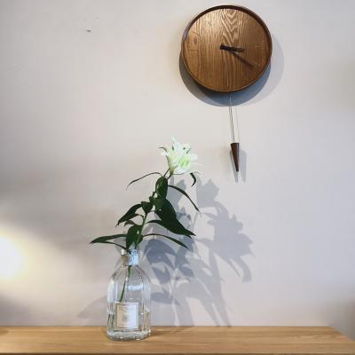 Fin Pendulum