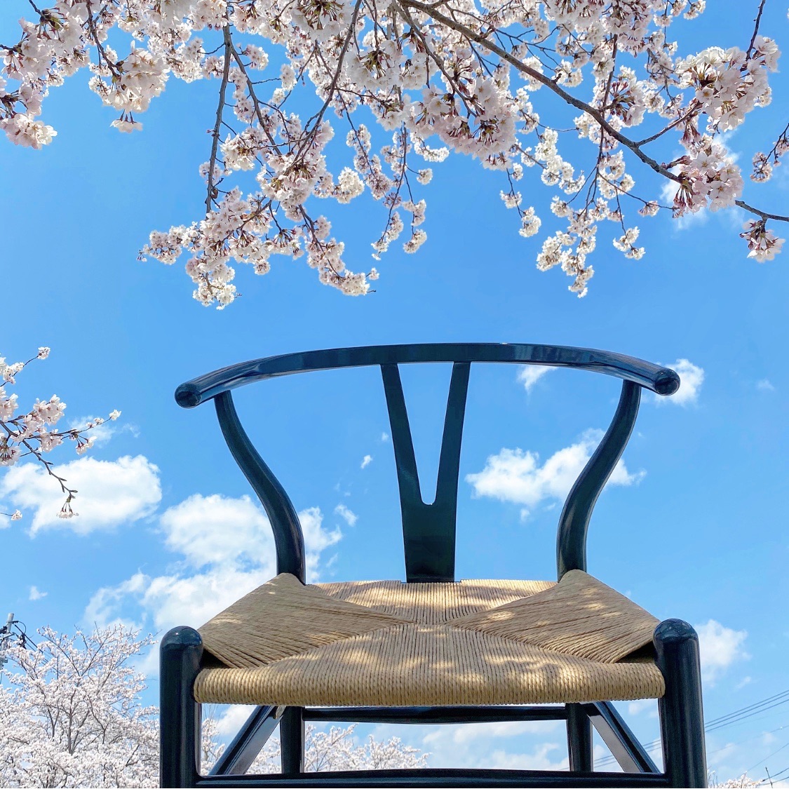 CH24 チェア LimitedEdition 2020ネイビーブルー 2脚 CH24 Limited Edition 販売期間延長のお知らせ - ARIA 家具と